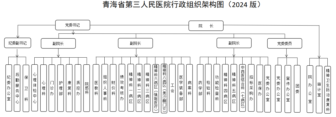 医院组织架构图.png