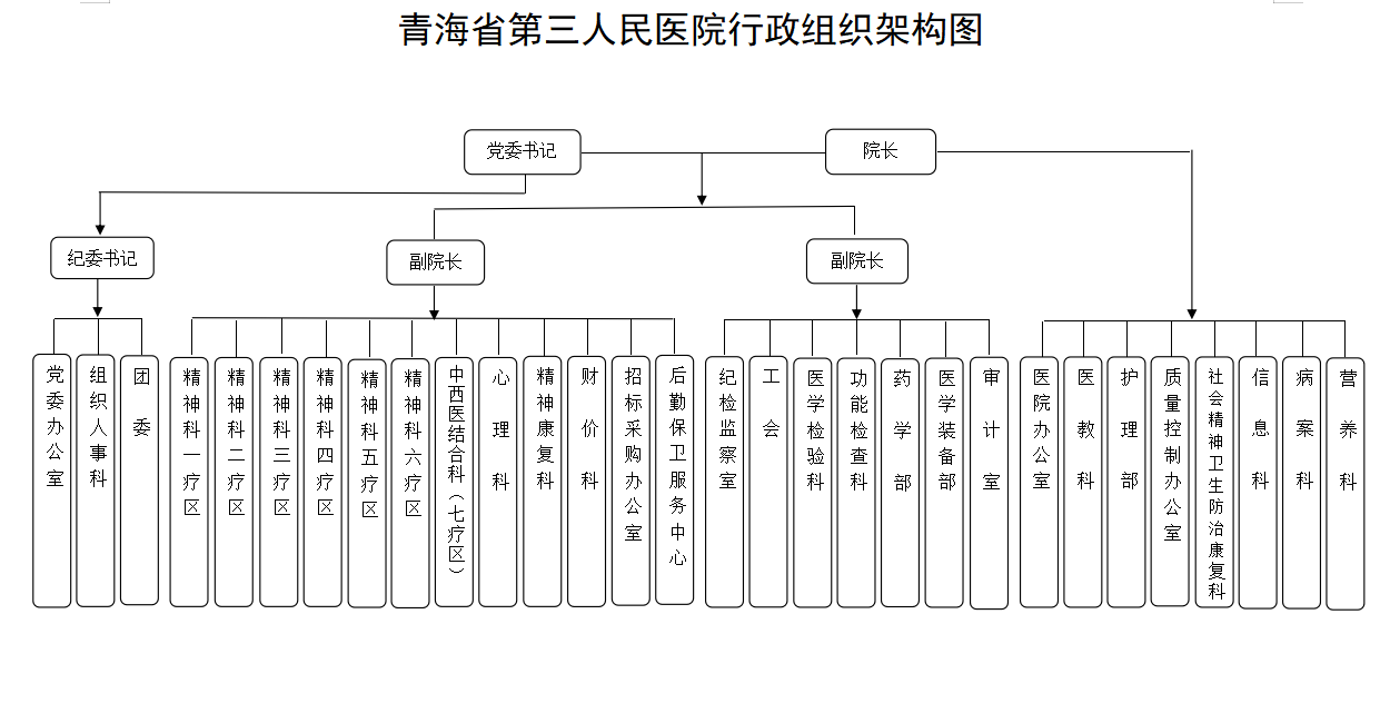 组织架构(图1)